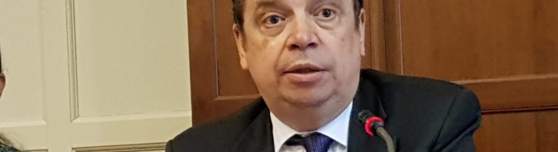 Luis Planas: La futura PAC propiciará un sector agrícola inteligente, sostenible y competitivo Luis Planas: La futura PAC propiciará un sector agrícola inteligente, sostenible y competitivo