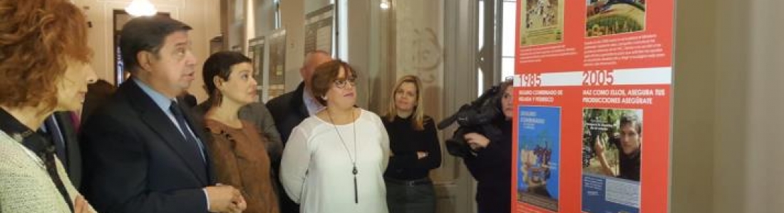 Luis Planas subraya el gran avance que ha experimentado el campo español en los 40 años de Constitución Española Luis Planas subraya el gran avance que ha experimentado el campo español en los 40 años de Constitución Española