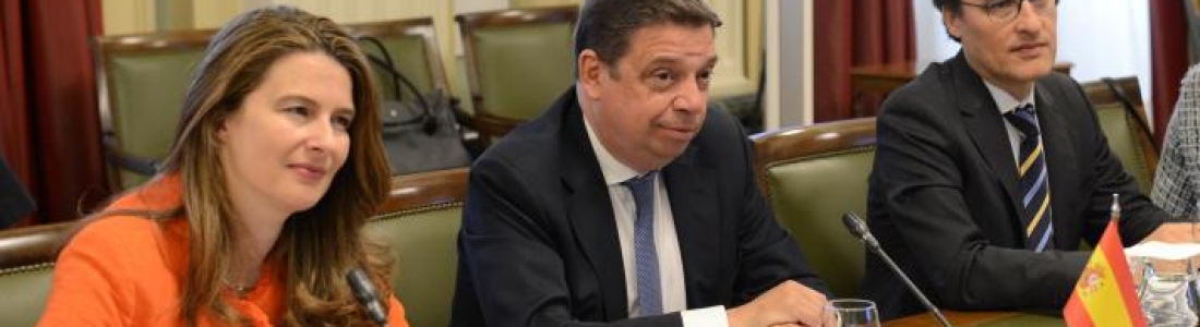 Planas valora el trabajo desarrollado para la elaboración del Plan Estratégico de la PAC para España Planas valora el trabajo desarrollado para la elaboración del Plan Estratégico de la PAC para España