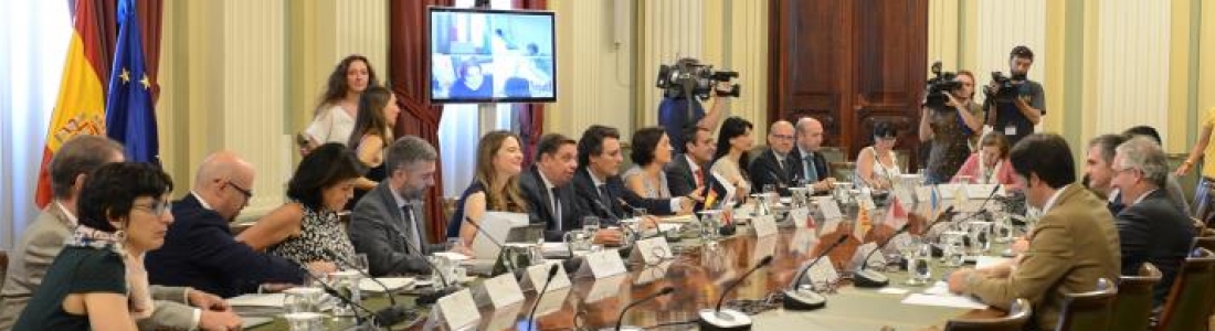 España agilizará ante la CE la posibilidad de articular el almacenamiento temporal del aceite de oliva España agilizará ante la CE la posibilidad de articular el almacenamiento temporal del aceite de oliva