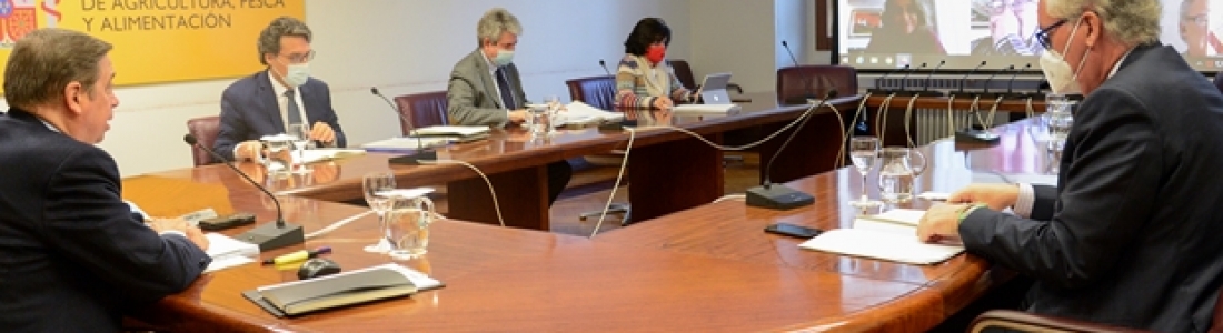 Planas: La rebaja de módulos IRPF 2020 beneficiará a todos los agricultores y ganaderos, con una reducción de la base imponible de 600 millones de euros Planas: La rebaja de módulos IRPF 2020 beneficiará a todos los agricultores y ganaderos, con una reducción de la base imponible de 600 millones de euros