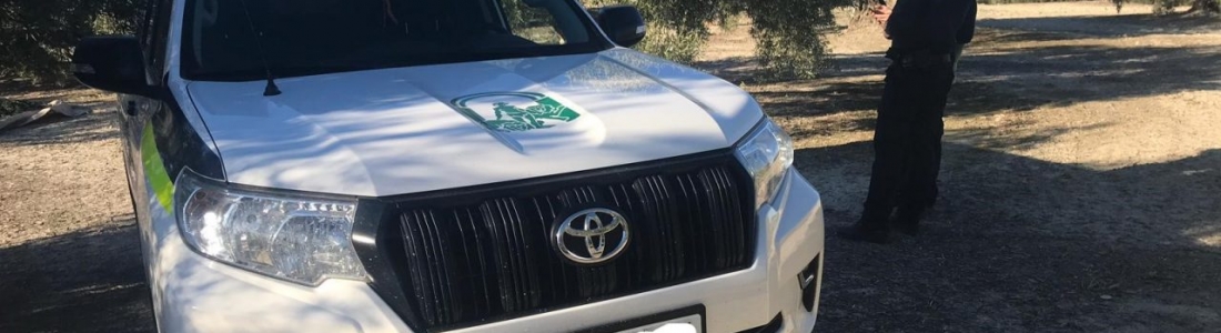 La Policía de la Junta se suma a la lucha contra el hurto de aceituna incautando hasta el momento más de 1.600 kilos La Policía de la Junta se suma a la lucha contra el hurto de aceituna incautando hasta el momento más de 1.600 kilos