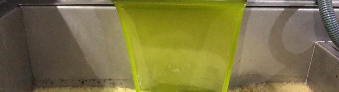 La IGP Aceite de Jaén aumenta su musculatura con la inscripción de la cooperativa Ciudad de Jaén, Aires de Jaén y Aceites Bañón, y hay pendientes varias cooperativas La IGP Aceite de Jaén aumenta su musculatura con la inscripción de la cooperativa Ciudad de Jaén, Aires de Jaén y Aceites Bañón, y hay pendientes varias cooperativas