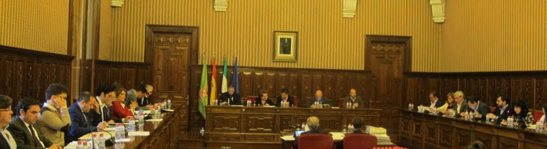 El pleno de la Diputación de Jaén solicita a la RAE que cambie la denominación de los aceites de oliva El pleno de la Diputación de Jaén solicita a la RAE que cambie la denominación de los aceites de oliva