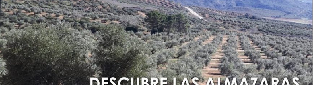 El Centro de Interpretación Olivar y Aceite impulsa una nueva edición de Rutas del aceite de Jaén para promocionar el oleoturismo El Centro de Interpretación Olivar y Aceite impulsa una nueva edición de Rutas del aceite de Jaén para promocionar el oleoturismo