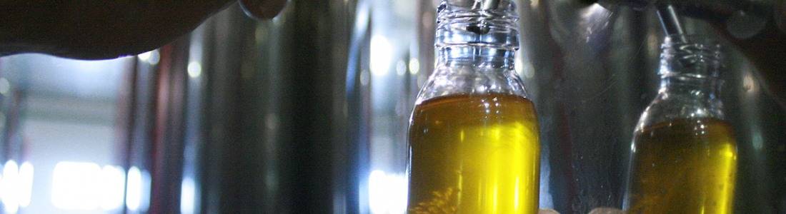 La cooperativa San Vicente de Mogón cierra la campaña con un 90% de aceite de oliva virgen extra La cooperativa San Vicente de Mogón cierra la campaña con un 90% de aceite de oliva virgen extra