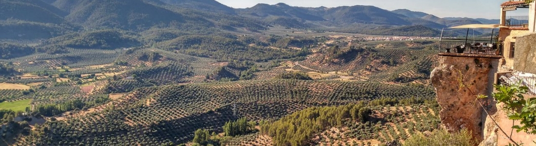 La DOP Sierra de Segura resalta cinco características singulares La DOP Sierra de Segura resalta cinco características singulares