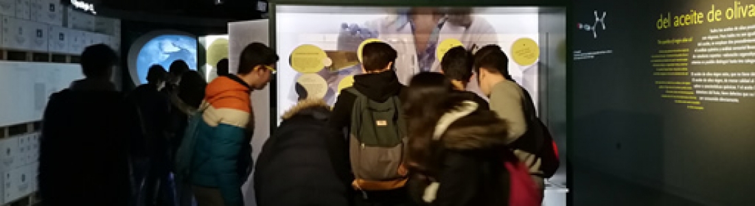 Cerca de un millar de escolares de la provincia de Jaén visita el Museo Terra Oleum durante el primer trimestre del año Cerca de un millar de escolares de la provincia de Jaén visita el Museo Terra Oleum durante el primer trimestre del año