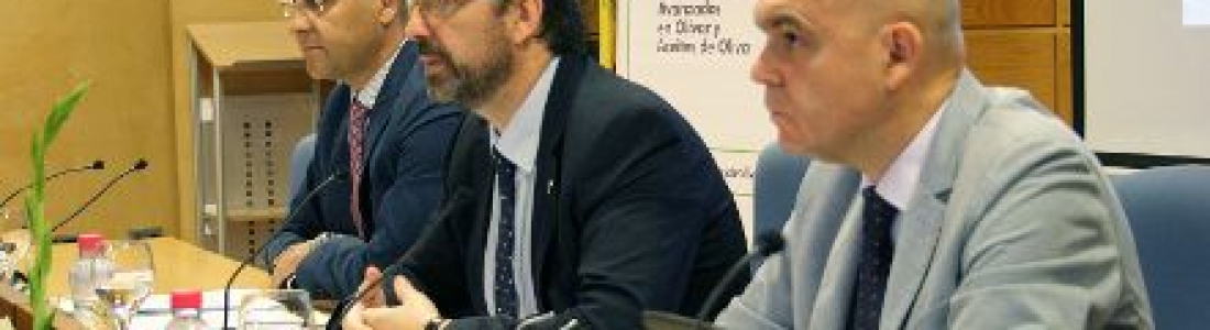 La Universidad de Jaén impulsa la relación con el sector empresarial oleícola La Universidad de Jaén impulsa la relación con el sector empresarial oleícola