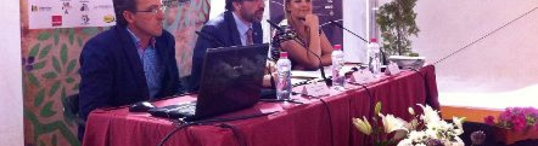 La VI Jornada de Difusión Tecnológica de Futuroliva aborda los últimos proyectos de la UJA relacionados con el sector oleícola La VI Jornada de Difusión Tecnológica de Futuroliva aborda los últimos proyectos de la UJA relacionados con el sector oleícola