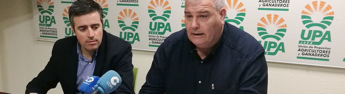 UPA-Jaén y UPA-Huelva coordinarán una bolsa de trabajadores para concatenar las campañas de la aceituna y de los frutos rojos UPA-Jaén y UPA-Huelva coordinarán una bolsa de trabajadores para concatenar las campañas de la aceituna y de los frutos rojos