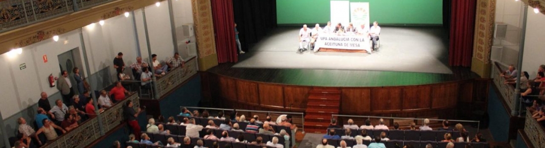La Junta insta al sector de la aceituna de mesa a adquirir una mayor dimensión empresarial para la defensa de sus intereses La Junta insta al sector de la aceituna de mesa a adquirir una mayor dimensión empresarial para la defensa de sus intereses