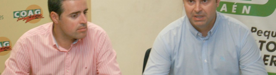 COAG y UPA reclaman que se amplíe el plazo para comunicar los jornales de la campaña de la aceituna COAG y UPA reclaman que se amplíe el plazo para comunicar los jornales de la campaña de la aceituna