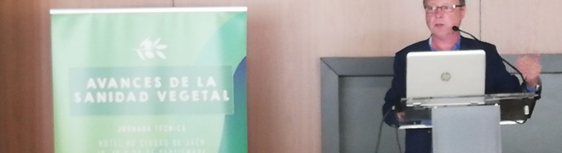 Citoliva e Interóleo organizan una jornada técnica sobre los «Avances de la sanidad vegetal» Citoliva e Interóleo organizan una jornada técnica sobre los «Avances de la sanidad vegetal»