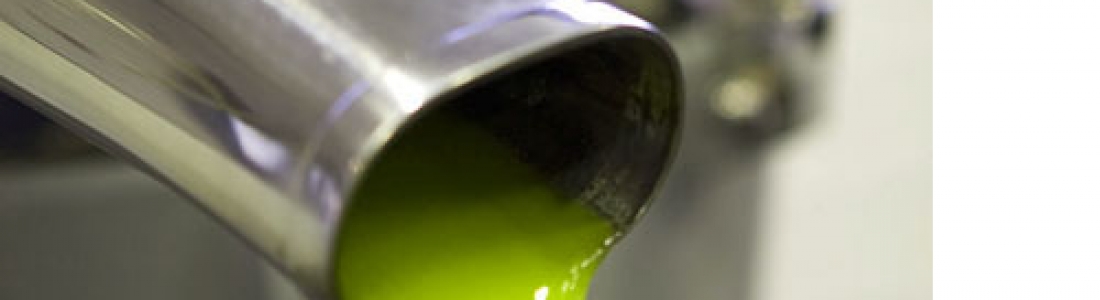 Un total de 140 muestras de 18 provincias de España, Portugal y México optan a los Premios a la Calidad del AOVE Un total de 140 muestras de 18 provincias de España, Portugal y México optan a los Premios a la Calidad del AOVE