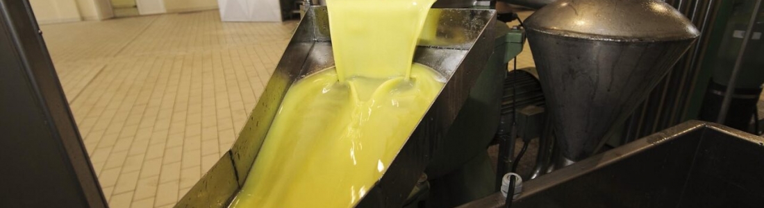 ASAJA-Jaén destaca la salida de más de 150.000 toneladas de aceite al mercado durante el mes de diciembre ASAJA-Jaén destaca la salida de más de 150.000 toneladas de aceite al mercado durante el mes de diciembre