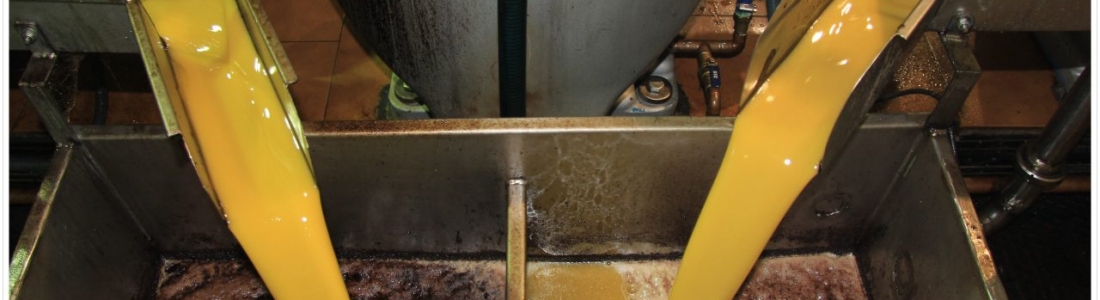 Los precios medios del aceite de oliva en origen se mantienen en los tres euros el kilo Los precios medios del aceite de oliva en origen se mantienen en los tres euros el kilo