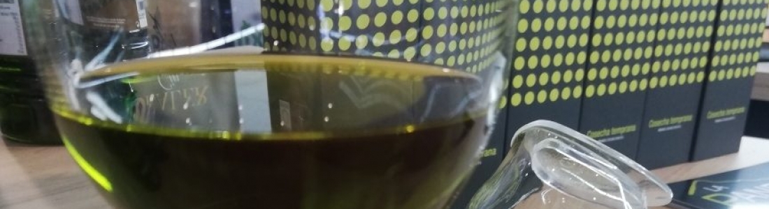 UPA destaca el récord de comercialización de aceite de oliva en junio para denunciar «la injusta situación de los precios de ruina en origen» UPA destaca el récord de comercialización de aceite de oliva en junio para denunciar «la injusta situación de los precios de ruina en origen»