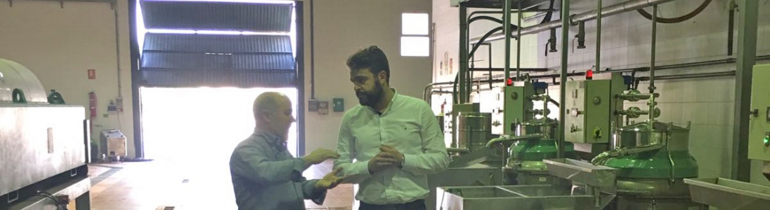 La Cooperativa Bedmarense elabora su primer aceite de cosecha temprana La Cooperativa Bedmarense elabora su primer aceite de cosecha temprana