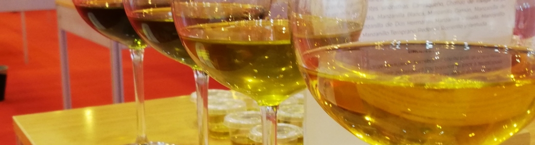 COAG Jaén ve en el cambio de Gobierno en Estados Unidos una oportunidad para la eliminación de los aranceles al aceite de oliva COAG Jaén ve en el cambio de Gobierno en Estados Unidos una oportunidad para la eliminación de los aranceles al aceite de oliva