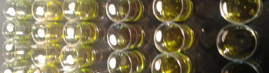 Cata-maridaje de Citoliva en la World Olive Oil Exhibition Cata-maridaje de Citoliva en la World Olive Oil Exhibition