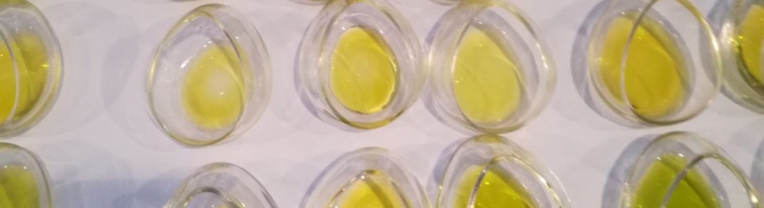 La Diputación de Jaén renueva su apoyo al Predimed-Plus, uno de los mayores estudios de investigación sobre nutrición en España La Diputación de Jaén renueva su apoyo al Predimed-Plus, uno de los mayores estudios de investigación sobre nutrición en España