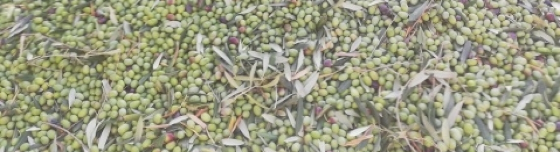 FIAB pide colaboración al Gobierno y a la UE para impedir los aranceles a alimentos y bebidas españoles de Estados Unidos FIAB pide colaboración al Gobierno y a la UE para impedir los aranceles a alimentos y bebidas españoles de Estados Unidos