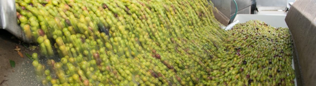 ASAJA-Jaén critica que la ITV de vehículos agrícolas se programe por los pueblos en plena campaña de la aceituna ASAJA-Jaén critica que la ITV de vehículos agrícolas se programe por los pueblos en plena campaña de la aceituna