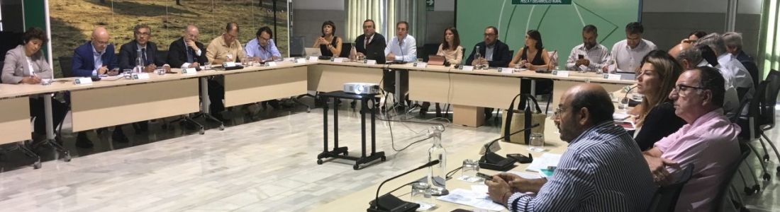 Andalucía prevé una producción de aceituna de mesa de 521.772 toneladas, casi un 12% más que la campaña anterior Andalucía prevé una producción de aceituna de mesa de 521.772 toneladas, casi un 12% más que la campaña anterior