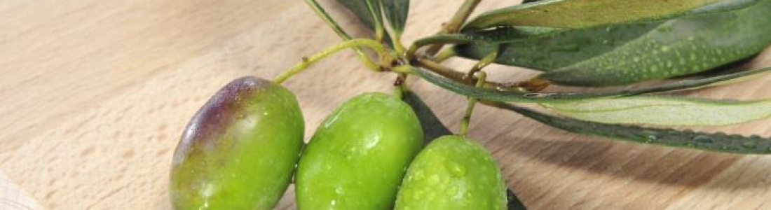 Las exportaciones españolas de aceituna bajan un 5% en el 2018 Las exportaciones españolas de aceituna bajan un 5% en el 2018