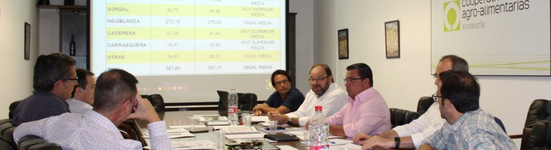 La meteorología y las amenazas comerciales marcan el arranque de la campaña de aceituna de mesa La meteorología y las amenazas comerciales marcan el arranque de la campaña de aceituna de mesa