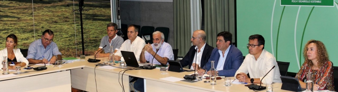 La Junta prevé que la campaña 2019-2020 alcance las 397.300 toneladas de aceituna de mesa de “gran calidad” y calibre La Junta prevé que la campaña 2019-2020 alcance las 397.300 toneladas de aceituna de mesa de “gran calidad” y calibre