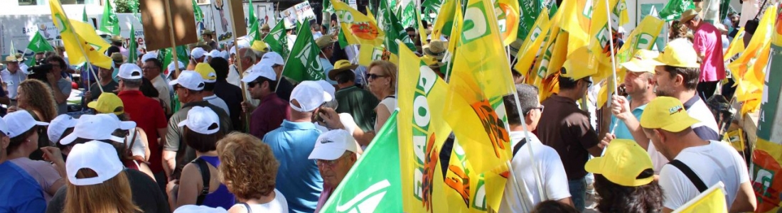 Organizaciones y las principales cooperativas aceituneras se manifiestan en defensa del sector frente al Consulado de Estados Unidos Organizaciones y las principales cooperativas aceituneras se manifiestan en defensa del sector frente al Consulado de Estados Unidos