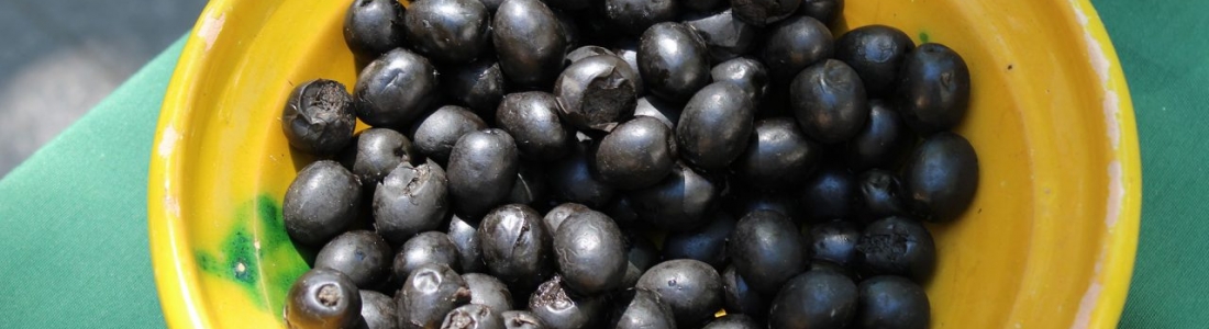 Cooperativas Agro-alimentarias de Andalucía pide explorar todas las posibilidades para defender al sector de la aceituna de mesa Cooperativas Agro-alimentarias de Andalucía pide explorar todas las posibilidades para defender al sector de la aceituna de mesa