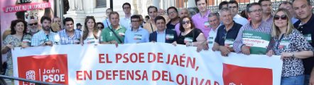 Alcaldes y cargos socialistas reivindican ante el Ministerio de Agricultura ayudas asociadas para el olivar en pendiente Alcaldes y cargos socialistas reivindican ante el Ministerio de Agricultura ayudas asociadas para el olivar en pendiente