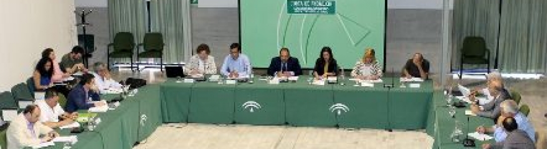 La Junta solicita una ayuda asociada al olivar en pendiente La Junta solicita una ayuda asociada al olivar en pendiente