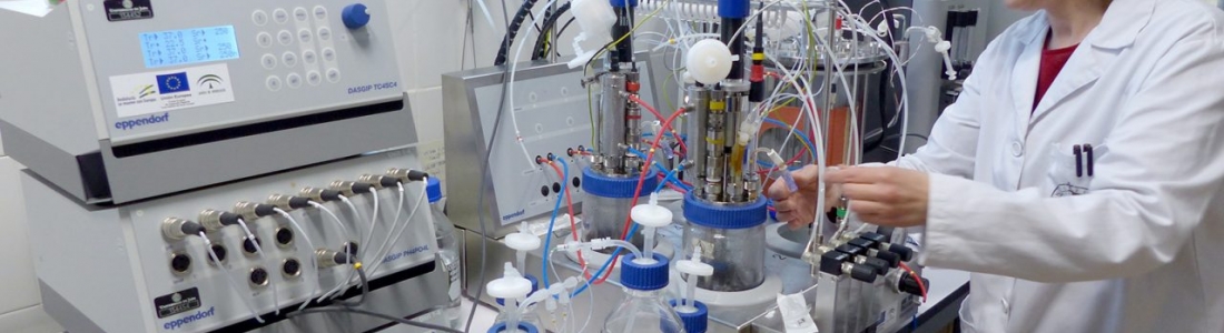 Investigadores de la UJA diseñan un modelo de biorrefinería sostenible para el aprovechamiento de la biomasa Investigadores de la UJA diseñan un modelo de biorrefinería sostenible para el aprovechamiento de la biomasa