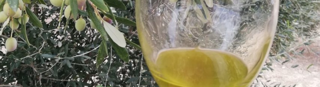 Planas analizará con el sector la situación del aceite de oliva español para estudiar medidas frente a la crisis Planas analizará con el sector la situación del aceite de oliva español para estudiar medidas frente a la crisis
