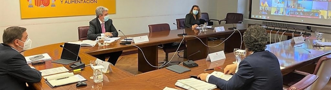 La consejera de Agricultura afirma que Europa no pide una convergencia brusca de la PAC como está implantando el Ministerio en el periodo transitorio La consejera de Agricultura afirma que Europa no pide una convergencia brusca de la PAC como está implantando el Ministerio en el periodo transitorio