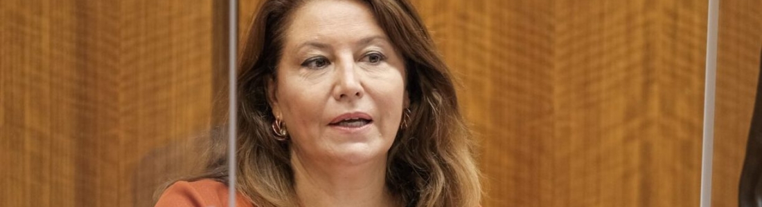 La consejera de Agricultura anuncia medidas preventivas que incluyen test a los temporeros desplazados a la campaña de la aceituna La consejera de Agricultura anuncia medidas preventivas que incluyen test a los temporeros desplazados a la campaña de la aceituna