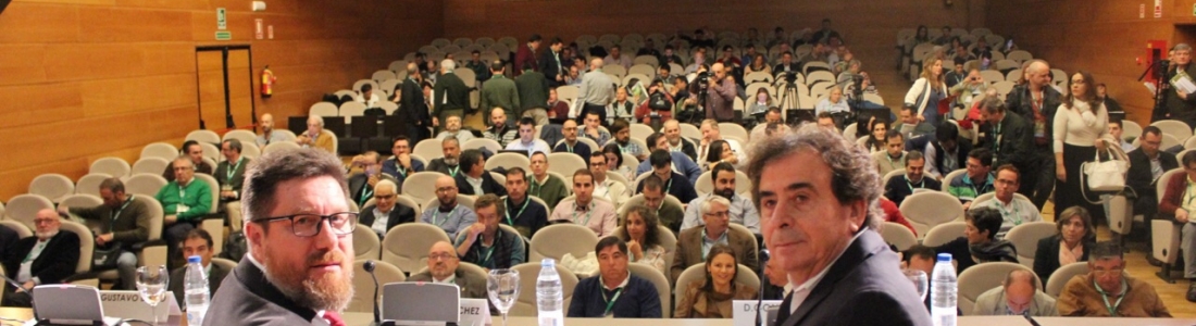 La Junta certifica la ausencia de la «xylella fastidiosa» con la realización de más de 6.000 análisis La Junta certifica la ausencia de la «xylella fastidiosa» con la realización de más de 6.000 análisis