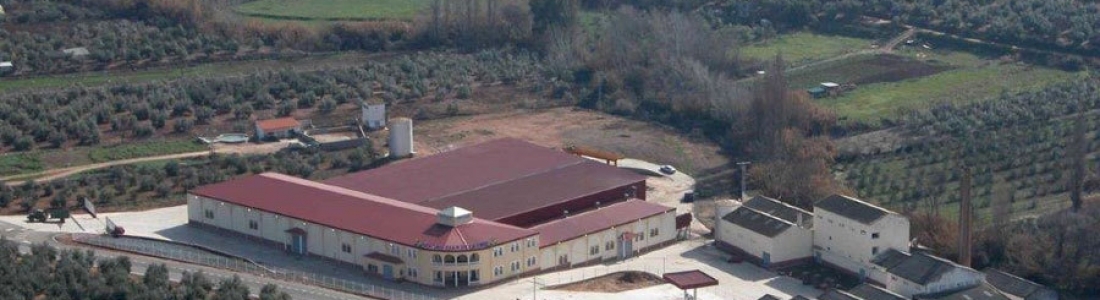 Las cooperativas de Beas de Segura San Juan de la Cruz y Nuestra Señora de la Paz acuerdan su fusión Las cooperativas de Beas de Segura San Juan de la Cruz y Nuestra Señora de la Paz acuerdan su fusión