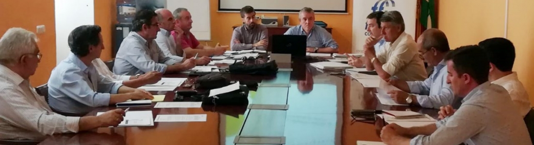 Cooperativas constata un repunte de precios del aceite y un crecimiento de las salidas al mercado de casi el 8% Cooperativas constata un repunte de precios del aceite y un crecimiento de las salidas al mercado de casi el 8%
