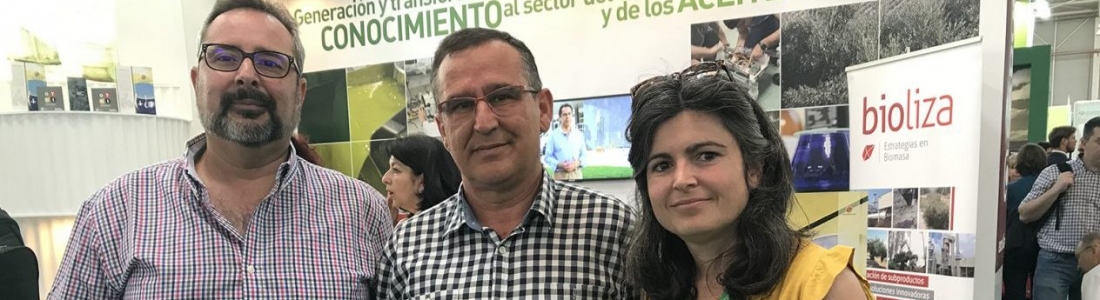 Ponen en marcha un proyecto innovador sobre la implantación de cubiertas herbáceas en diferentes tipos de olivar Ponen en marcha un proyecto innovador sobre la implantación de cubiertas herbáceas en diferentes tipos de olivar