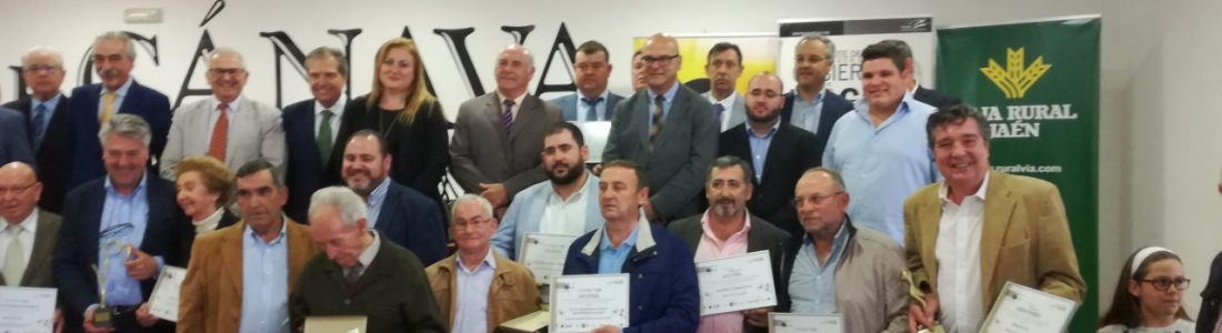 El 38% del aceite de oliva producido en la DO Sierra Mágina ha sido virgen extra El 38% del aceite de oliva producido en la DO Sierra Mágina ha sido virgen extra