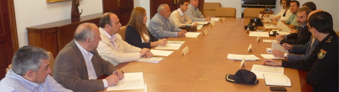 Organizado el dispositivo de seguridad de la campaña de la aceituna en Jaén Organizado el dispositivo de seguridad de la campaña de la aceituna en Jaén