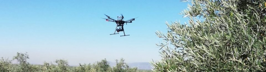 Presentan los resultados del Grupo Operativo de Agricultura de Precisión con Drones Aplicado al Olivar Presentan los resultados del Grupo Operativo de Agricultura de Precisión con Drones Aplicado al Olivar