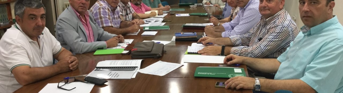 La Junta impulsa la constitución de la Mesa Provincial de Producción Ecológica La Junta impulsa la constitución de la Mesa Provincial de Producción Ecológica
