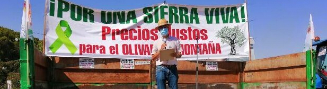 Una caravana de vehículos exige en la Sierra de Segura la defensa del olivar en pendiente y precios justos para el aceite Una caravana de vehículos exige en la Sierra de Segura la defensa del olivar en pendiente y precios justos para el aceite