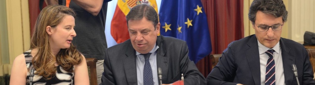 España impulsará el desarrollo de una medida de autorregulación para el sector del aceite de oliva España impulsará el desarrollo de una medida de autorregulación para el sector del aceite de oliva